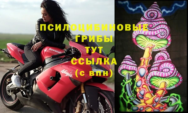 спиды Армянск