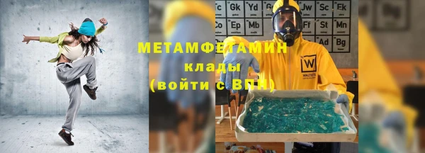 прущие грибы Аркадак