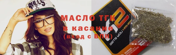 прущие грибы Аркадак