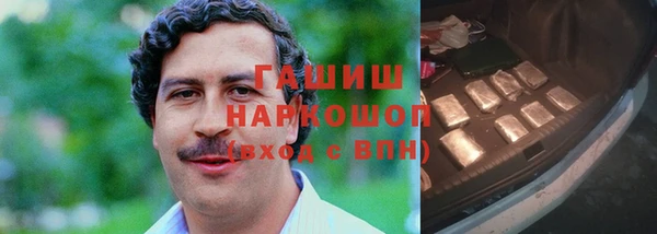 прущие грибы Аркадак