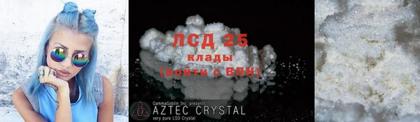 прущие грибы Аркадак