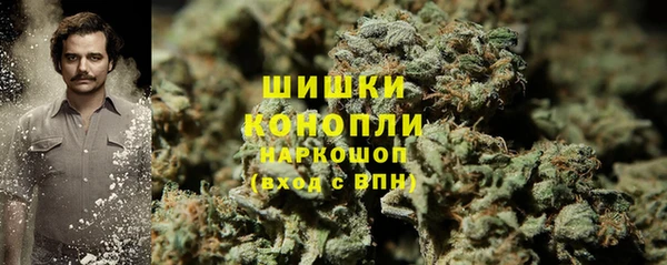 прущие грибы Аркадак