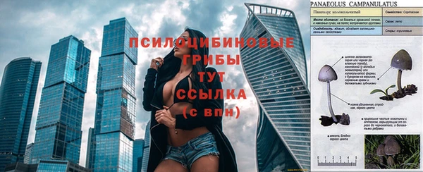 спиды Армянск