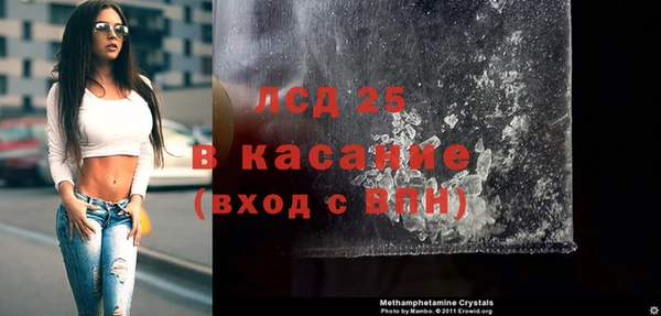прущие грибы Аркадак