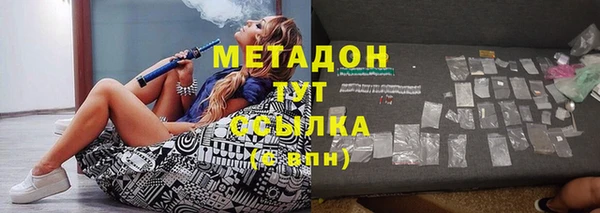 прущие грибы Аркадак